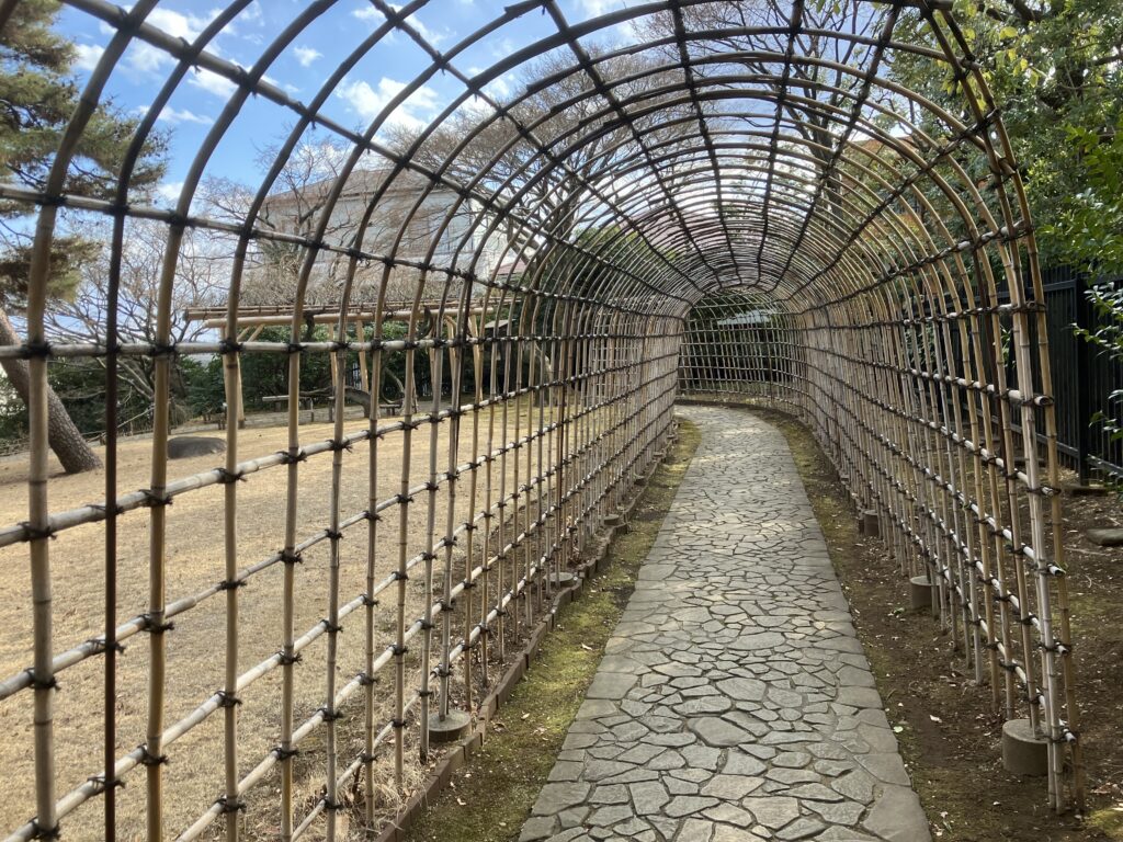 殿ヶ谷戸庭園の萩のトンネル