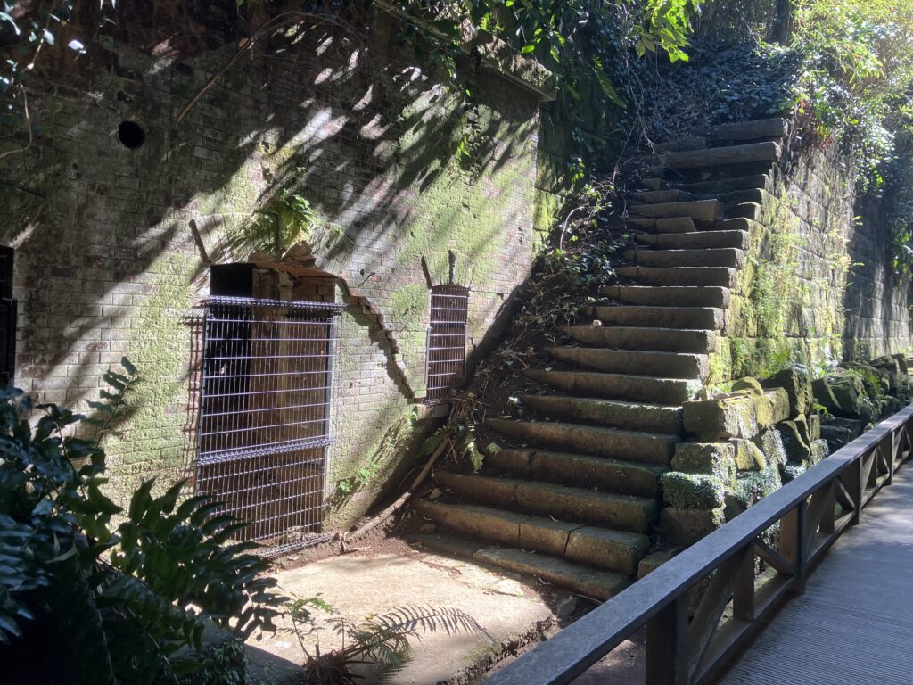 猿島の崩れかけた階段